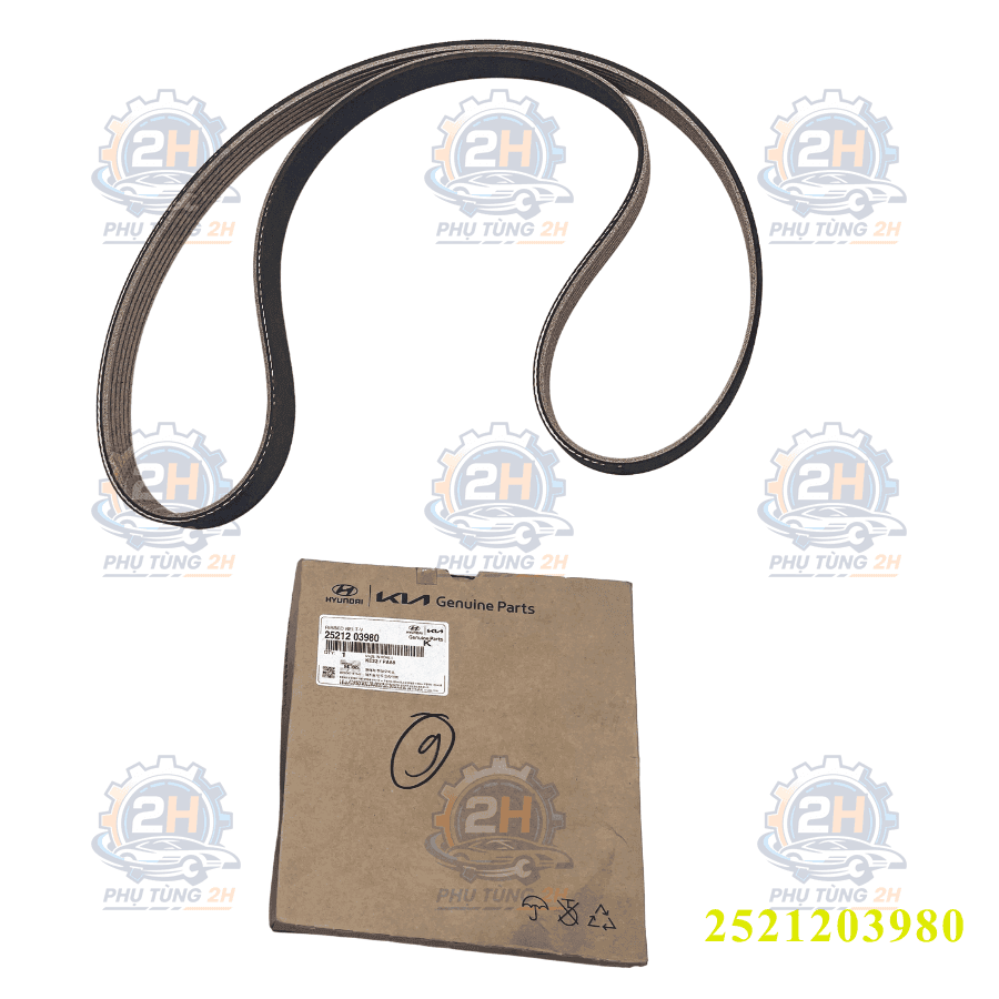 Dây tăng tổng Hyundai Accent, Kia Soluto, Morning 2017 6PK1227 2521203980 Mobis — ảnh 1
