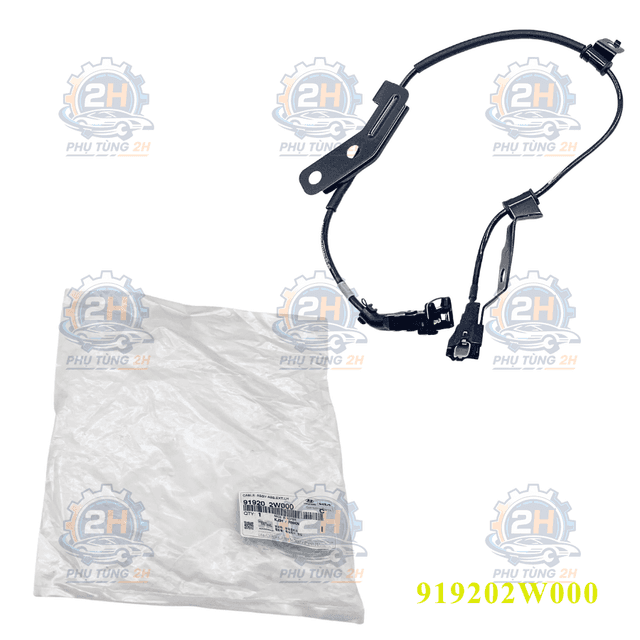 Dây điện ABS Hyundai Santafe 2016 LH 919202W000 Mobis
